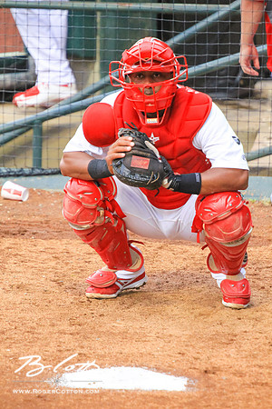 redbirds061315-157