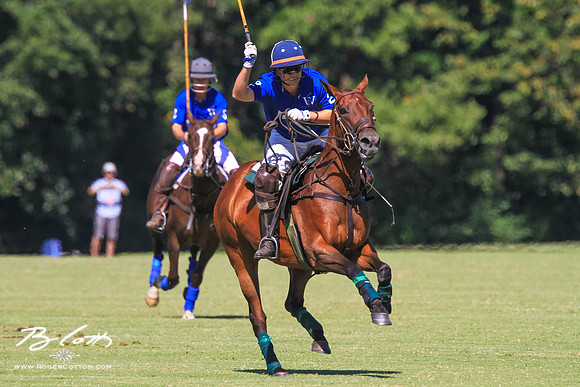 WingsPolo-110