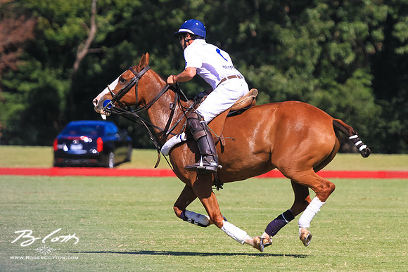 WingsPolo-135