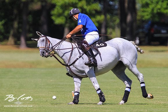 WingsPolo-050