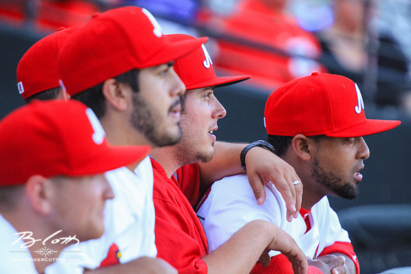 Redbirds061215-25
