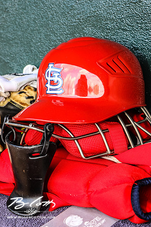 redbirds061816-022