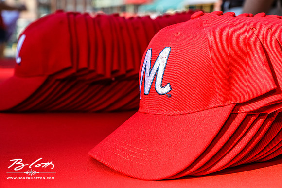 Redbirds061116-014