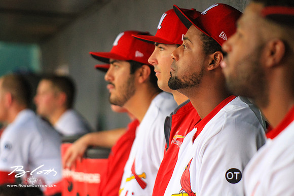 redbirds061315-126