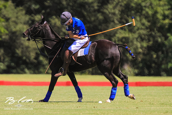 WingsPolo-052