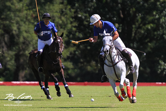 WingsPolo-036