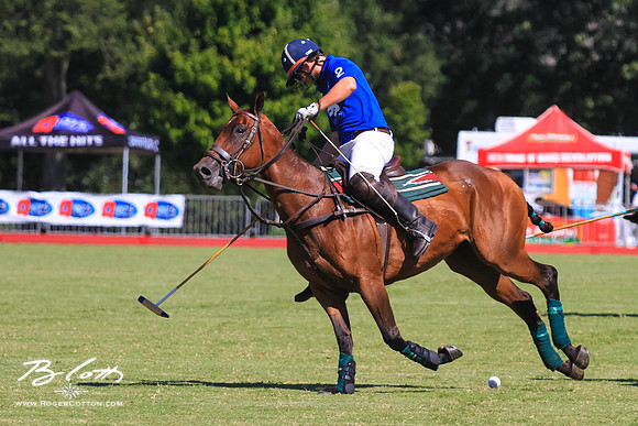 WingsPolo-114
