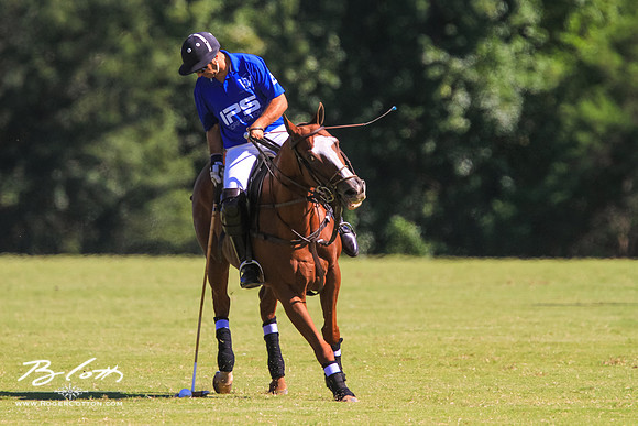 WingsPolo-131