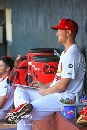 Redbirds061215-42