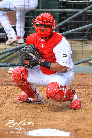 redbirds061315-158