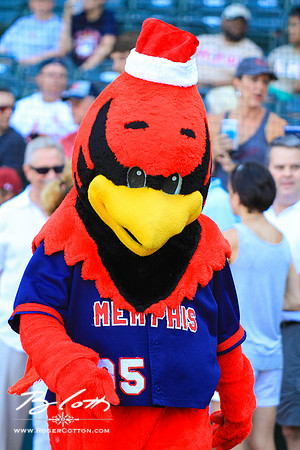 redbirds072515-023