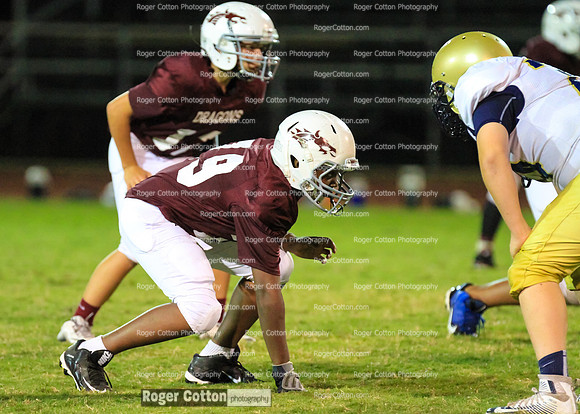 78maroon-arlington-067
