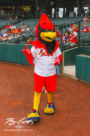 redbirds0806-038