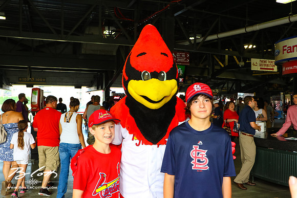 redbirds0806-029