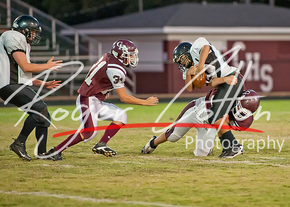 DSC_1866_filtered