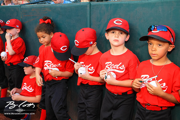 redbirds081715-031