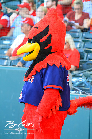 redbirds073115-015