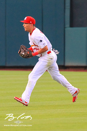 redbirds061315-149