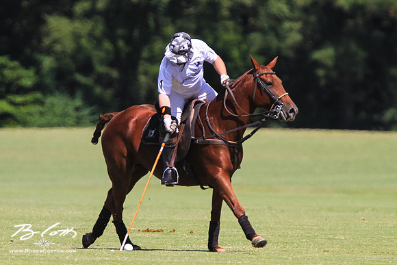 WingsPolo-038