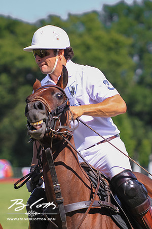 WingsPolo-120