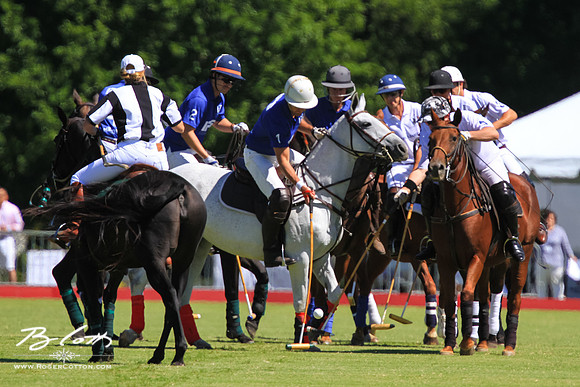 WingsPolo-028