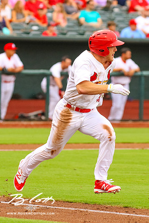 redbirds0723-097