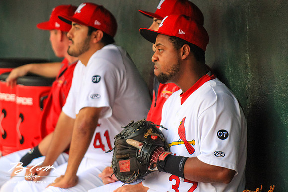 redbirds061315-131