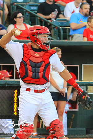 Redbirds061215-101