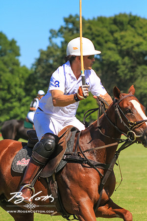 WingsPolo-115