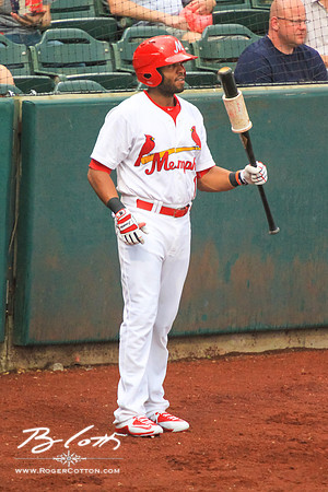 redbirds061315-140
