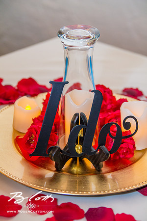 ShannonBenWed-042