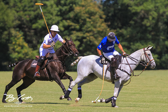 WingsPolo-056