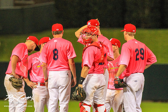 redbirds081715-170