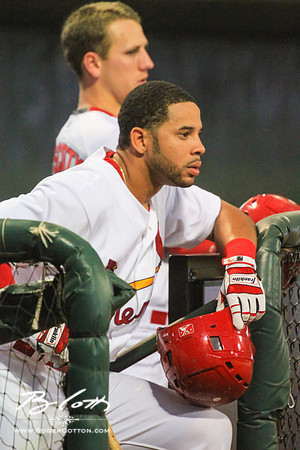 redbirds062915-126