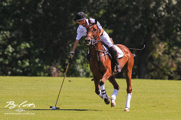 WingsPolo-068
