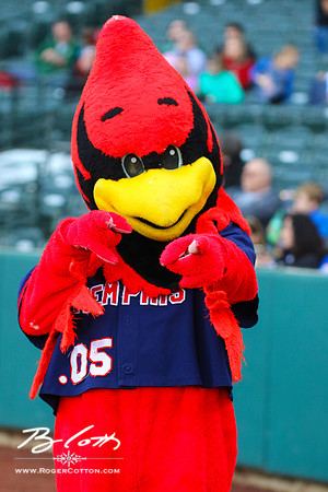 Redbirds 04-09-16-006