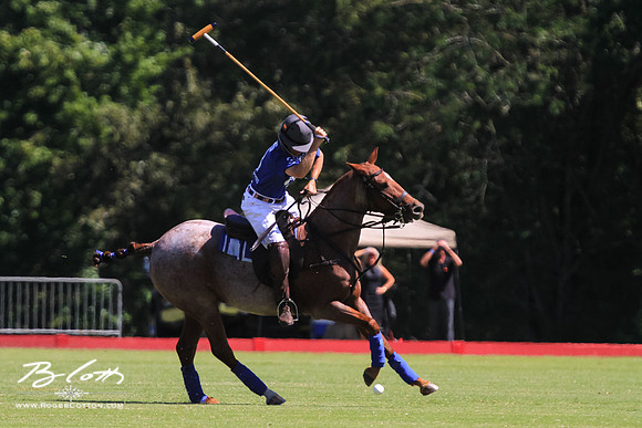 WingsPolo-033