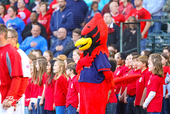 Redbirds 04-09-16-032