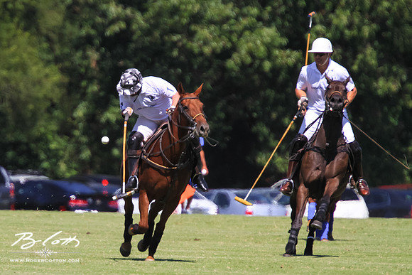 WingsPolo-037