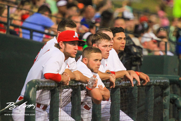 redbirds062915-127