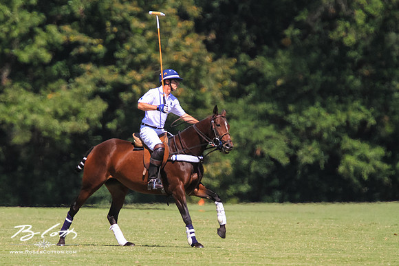 WingsPolo-051