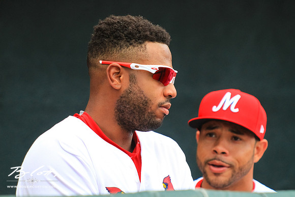 redbirds061315-041