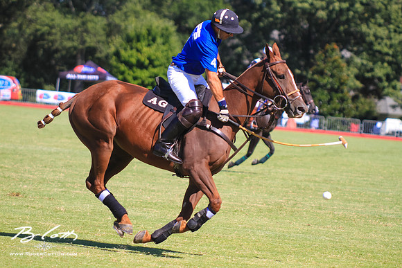 WingsPolo-122
