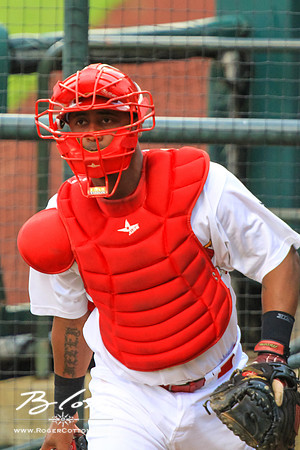 redbirds061315-156