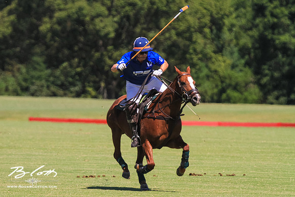 WingsPolo-060