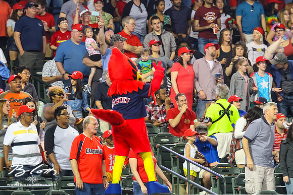 Redbirds-04-23-082