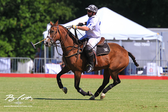 WingsPolo-112