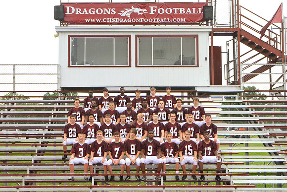 FreshmanDragons