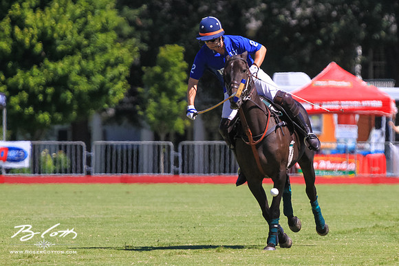 WingsPolo-029