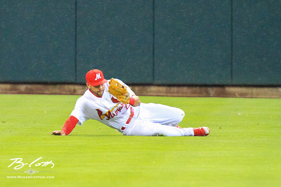 Redbirds061215-182
